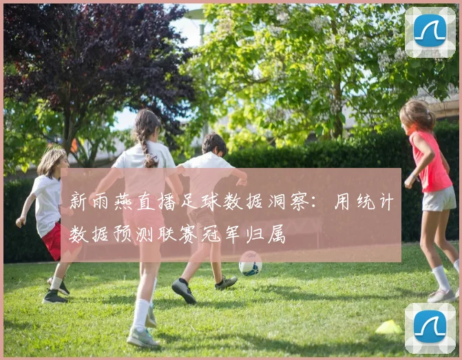 新雨燕直播足球数据洞察：用统计数据预测联赛冠军归属