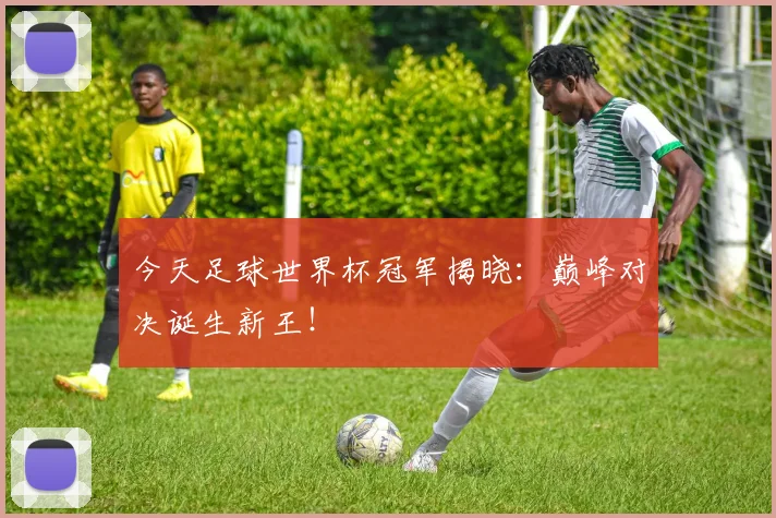 今天足球世界杯冠军揭晓：巅峰对决诞生新王！